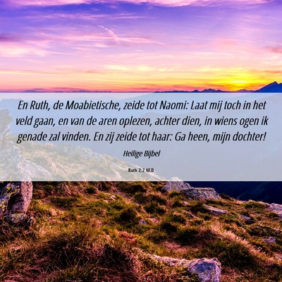 Picture 06 - Ruth 2:2 NLD - En Ruth, de Moabietische, zeide tot Naomi: Laat - Bible Verse Picture