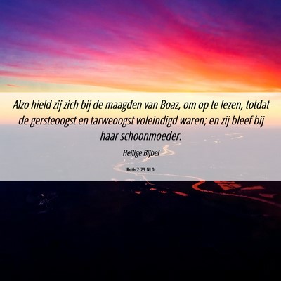 Picture 06 - Ruth 2:23 NLD - Alzo hield zij zich bij de maagden van Boaz, om - Bible Verse Picture