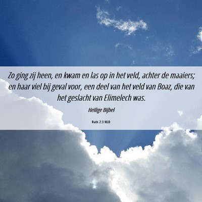 Picture 06 - Ruth 2:3 NLD - Zo ging zij heen, en kwam en las op in het veld, - Bible Verse Picture