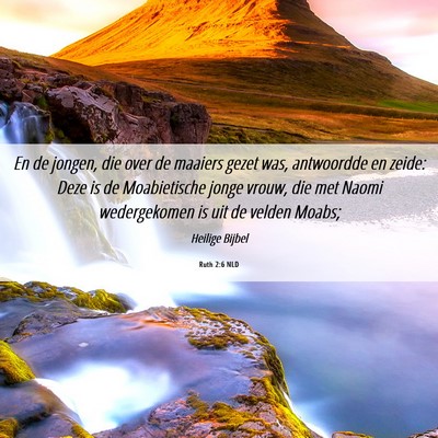 Picture 06 - Ruth 2:6 NLD - En de jongen, die over de maaiers gezet was, - Bible Verse Picture