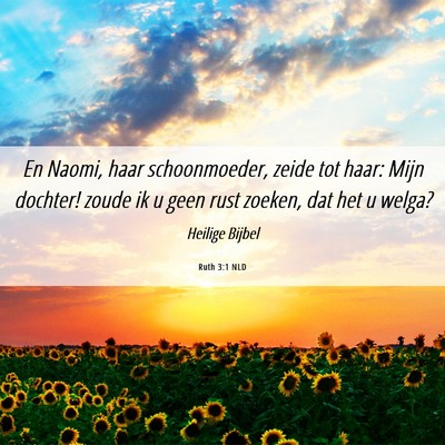 Picture 06 - Ruth 3:1 NLD - En Naomi, haar schoonmoeder, zeide tot haar: Mijn - Bible Verse Picture