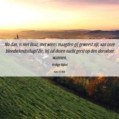Picture 06 - Ruth 3:2 NLD - Nu dan, is niet Boaz, met wiens maagden gij - Bible Verse Picture