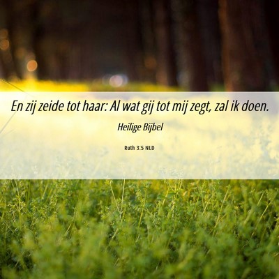 Picture 06 - Ruth 3:5 NLD - En zij zeide tot haar: Al wat gij tot mij zegt, - Bible Verse Picture