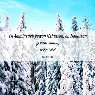 Picture 06 - Ruth 4:20 NLD - En Amminadab gewon Nahesson; en Nahesson gewon - Bible Verse Picture