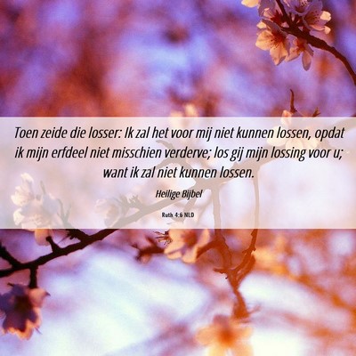 Picture 06 - Ruth 4:6 NLD - Toen zeide die losser: Ik zal het voor mij niet - Bible Verse Picture