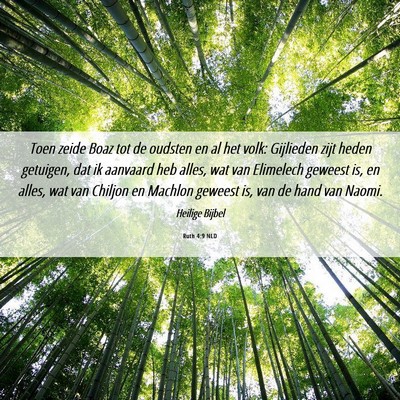 Picture 06 - Ruth 4:9 NLD - Toen zeide Boaz tot de oudsten en al het volk: - Bible Verse Picture