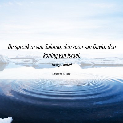 Picture 06 - Spreuken 1:1 NLD - De spreuken van Salomo, den zoon van David, den - Bible Verse Picture