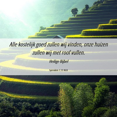 Picture 06 - Spreuken 1:13 NLD - Alle kostelijk goed zullen wij vinden, onze - Bible Verse Picture