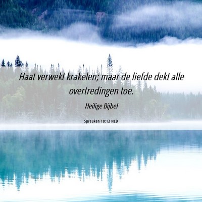 Picture 06 - Spreuken 10:12 NLD - Haat verwekt krakelen; maar de liefde dekt alle - Bible Verse Picture