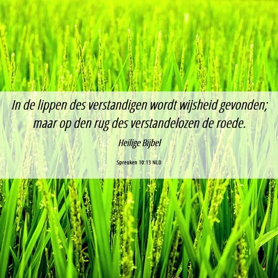 Picture 06 - Spreuken 10:13 NLD - In de lippen des verstandigen wordt wijsheid - Bible Verse Picture