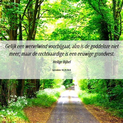 Picture 06 - Spreuken 10:25 NLD - Gelijk een wervelwind voorbijgaat, alzo is de - Bible Verse Picture