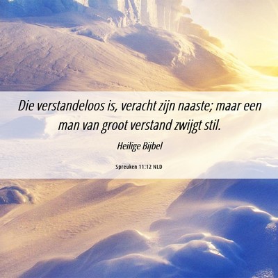 Picture 06 - Spreuken 11:12 NLD - Die verstandeloos is, veracht zijn naaste; maar - Bible Verse Picture