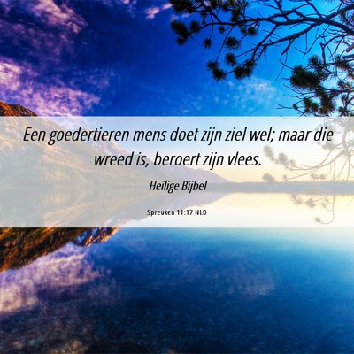 Picture 06 - Spreuken 11:17 NLD - Een goedertieren mens doet zijn ziel wel; maar - Bible Verse Picture