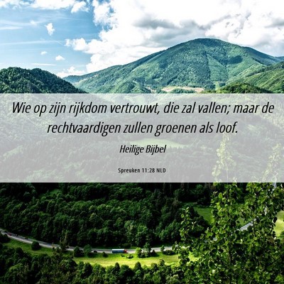 Picture 06 - Spreuken 11:28 NLD - Wie op zijn rijkdom vertrouwt, die zal vallen; - Bible Verse Picture
