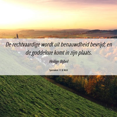 Picture 06 - Spreuken 11:8 NLD - De rechtvaardige wordt uit benauwdheid bevrijd; - Bible Verse Picture