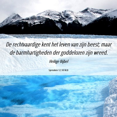 Picture 06 - Spreuken 12:10 NLD - De rechtvaardige kent het leven van zijn beest; - Bible Verse Picture