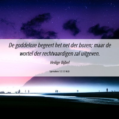 Picture 06 - Spreuken 12:12 NLD - De goddeloze begeert het net der bozen; maar de - Bible Verse Picture