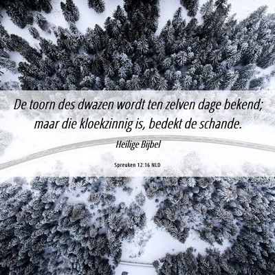 Picture 06 - Spreuken 12:16 NLD - De toorn des dwazen wordt ten zelven dage bekend; - Bible Verse Picture