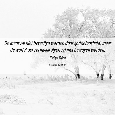 Picture 06 - Spreuken 12:3 NLD - De mens zal niet bevestigd worden door - Bible Verse Picture