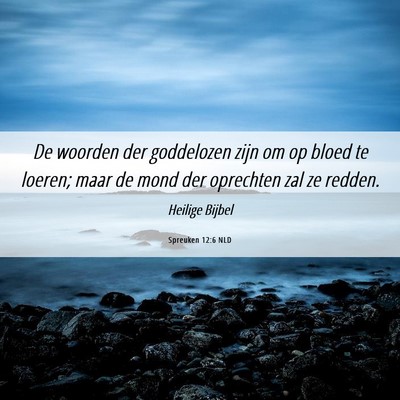Picture 06 - Spreuken 12:6 NLD - De woorden der goddelozen zijn om op bloed te - Bible Verse Picture