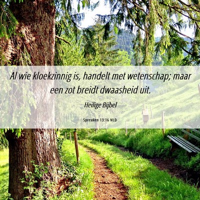 Picture 06 - Spreuken 13:16 NLD - Al wie kloekzinnig is, handelt met wetenschap; - Bible Verse Picture