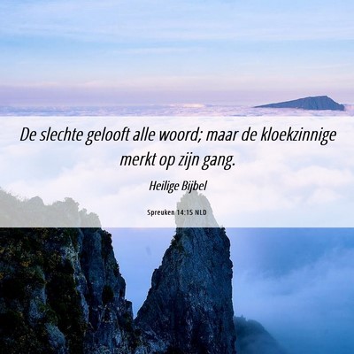Picture 06 - Spreuken 14:15 NLD - De slechte gelooft alle woord; maar de - Bible Verse Picture