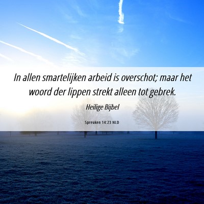 Picture 06 - Spreuken 14:23 NLD - In allen smartelijken arbeid is overschot; maar - Bible Verse Picture