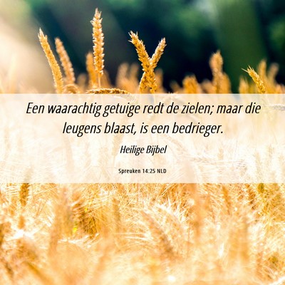 Picture 06 - Spreuken 14:25 NLD - Een waarachtig getuige redt de zielen; maar die - Bible Verse Picture