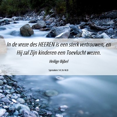 Picture 06 - Spreuken 14:26 NLD - In de vreze des HEEREN is een sterk vertrouwen, - Bible Verse Picture