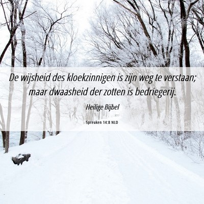 Picture 06 - Spreuken 14:8 NLD - De wijsheid des kloekzinnigen is zijn weg te - Bible Verse Picture