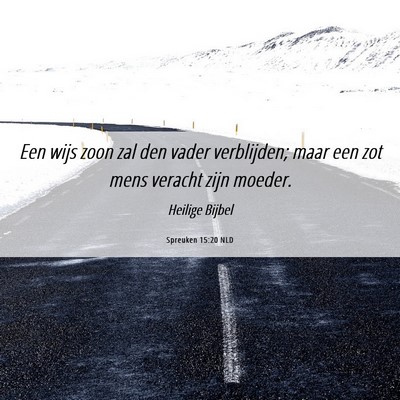 Picture 06 - Spreuken 15:20 NLD - Een wijs zoon zal den vader verblijden; maar een - Bible Verse Picture