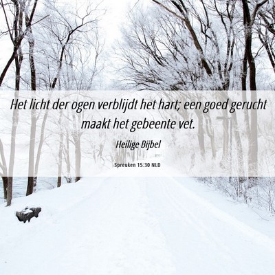 Picture 06 - Spreuken 15:30 NLD - Het licht der ogen verblijdt het hart; een goed - Bible Verse Picture