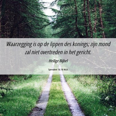 Picture 06 - Spreuken 16:10 NLD - Waarzegging is op de lippen des konings; zijn - Bible Verse Picture