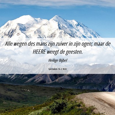 Picture 06 - Spreuken 16:2 NLD - Alle wegen des mans zijn zuiver in zijn ogen; - Bible Verse Picture