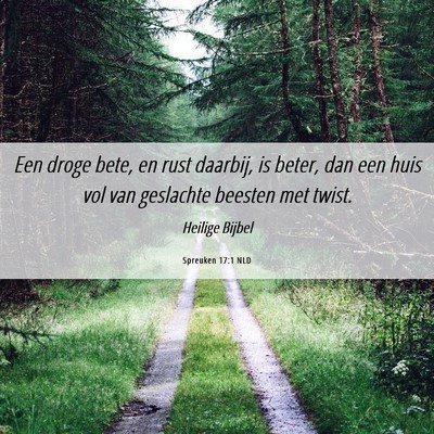 Picture 06 - Spreuken 17:1 NLD - Een droge bete, en rust daarbij, is beter, dan - Bible Verse Picture