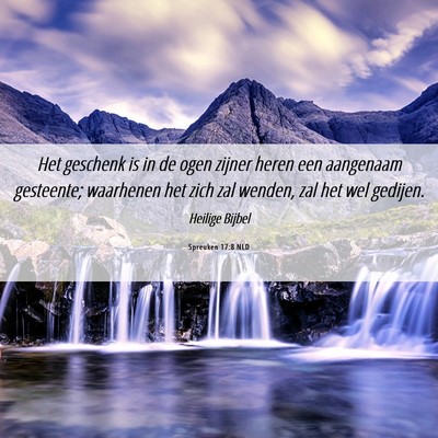 Picture 06 - Spreuken 17:8 NLD - Het geschenk is in de ogen zijner heren een - Bible Verse Picture