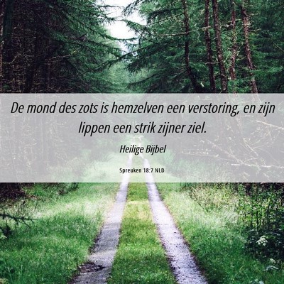 Picture 06 - Spreuken 18:7 NLD - De mond des zots is hemzelven een verstoring, en - Bible Verse Picture