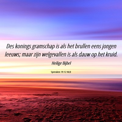 Picture 06 - Spreuken 19:12 NLD - Des konings gramschap is als het brullen eens - Bible Verse Picture