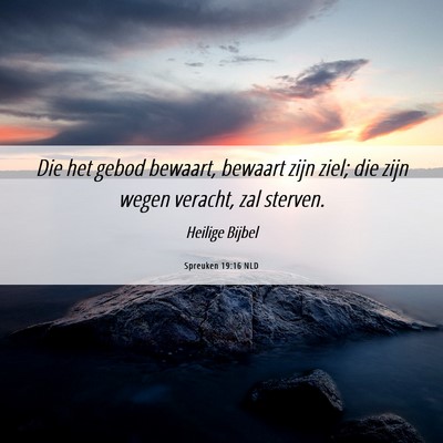 Picture 06 - Spreuken 19:16 NLD - Die het gebod bewaart, bewaart zijn ziel; die - Bible Verse Picture