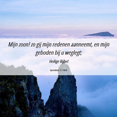 Picture 06 - Spreuken 2:1 NLD - Mijn zoon! zo gij mijn redenen aanneemt, en mijn - Bible Verse Picture