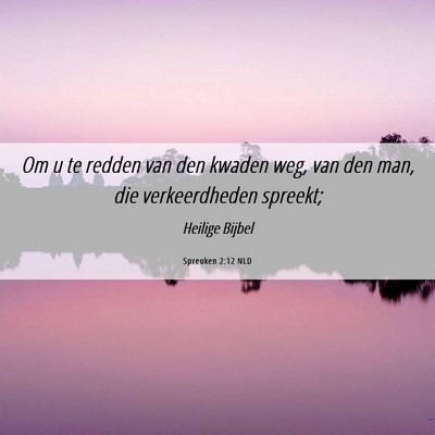 Picture 06 - Spreuken 2:12 NLD - Om u te redden van den kwaden weg, van den man, - Bible Verse Picture