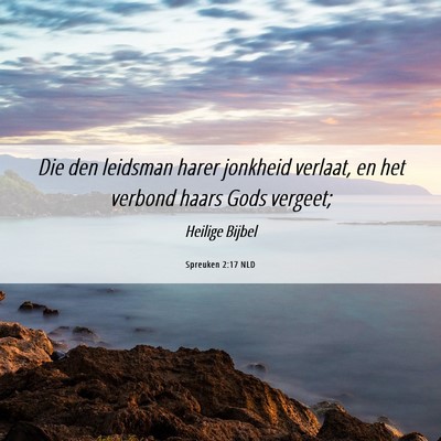 Picture 06 - Spreuken 2:17 NLD - Die den leidsman harer jonkheid verlaat, en het - Bible Verse Picture