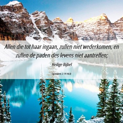 Picture 06 - Spreuken 2:19 NLD - Allen die tot haar ingaan, zullen niet - Bible Verse Picture