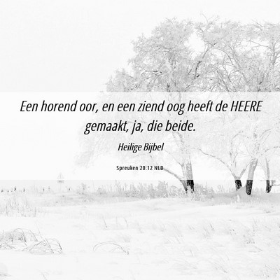 Picture 06 - Spreuken 20:12 NLD - Een horend oor, en een ziend oog heeft de HEERE - Bible Verse Picture