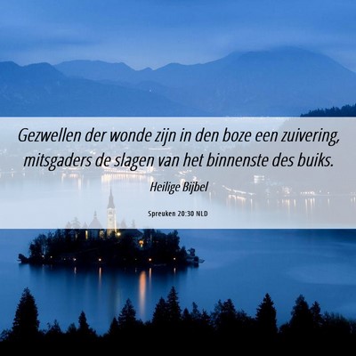 Picture 06 - Spreuken 20:30 NLD - Gezwellen der wonde zijn in den boze een - Bible Verse Picture
