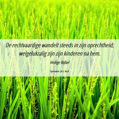 Picture 06 - Spreuken 20:7 NLD - De rechtvaardige wandelt steeds in zijn - Bible Verse Picture