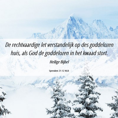 Picture 06 - Spreuken 21:12 NLD - De rechtvaardige let verstandelijk op des - Bible Verse Picture