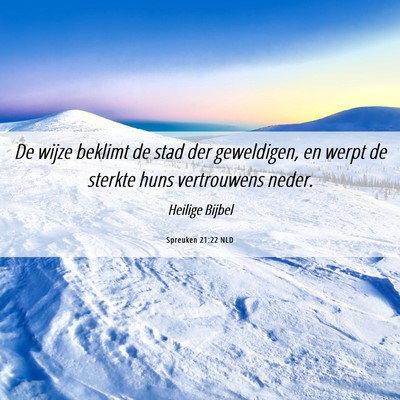 Picture 06 - Spreuken 21:22 NLD - De wijze beklimt de stad der geweldigen, en werpt - Bible Verse Picture