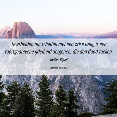 Picture 06 - Spreuken 21:6 NLD - Te arbeiden om schatten met een valse tong, is - Bible Verse Picture