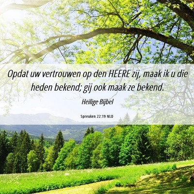 Picture 06 - Spreuken 22:19 NLD - Opdat uw vertrouwen op den HEERE zij, maak ik u - Bible Verse Picture